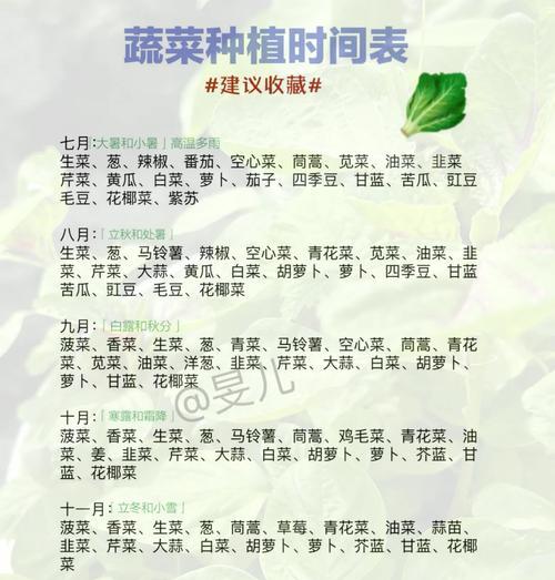 2月适合种植的蔬菜（打造自己的春季菜园，享受自然美好生活）