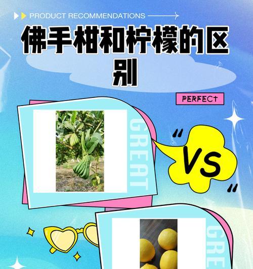 五指柑的神奇功效（探秘五指柑的作用与功效，了解其主要药用价值及营养成分）