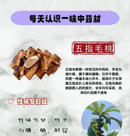 五指柑的神奇功效（探秘五指柑的作用与功效，了解其主要药用价值及营养成分）