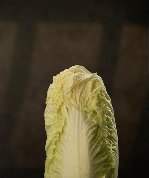 娃娃菜和白菜，到底是同一种菜吗？（揭开娃娃菜和白菜的区别，了解它们的特点和用途）