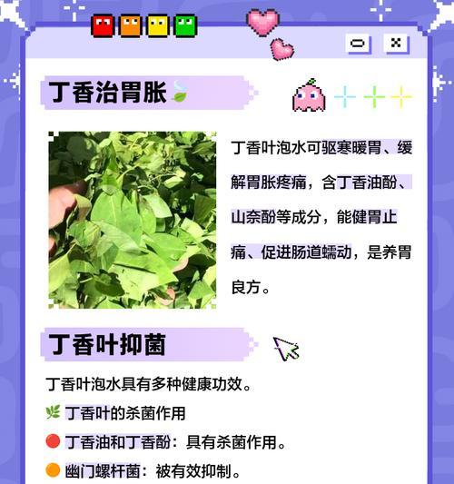 丁香花叶子卷曲的原因与处理方法（探究丁香花生长中的问题及解决方案）