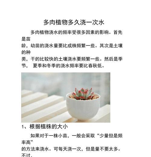 如何科学浇水凤尾竹（浇水频率与方法的掌控技巧）