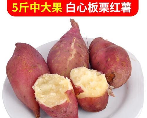 选择最优红薯品种，享受美味与健康（红薯品种对比，如何选购最佳品种）