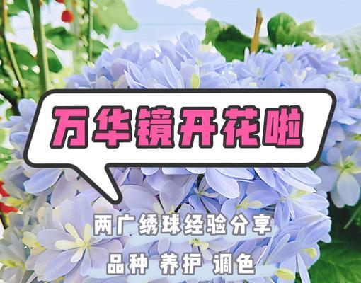 绣球换盆的时间和方法（细节决定成败，让你轻松掌握换盆技巧）
