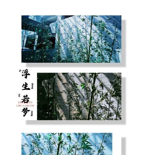 翠竹的象征意义（探究翠竹的神秘面纱——来自古今中外的印证）