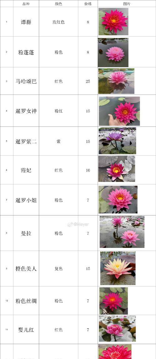 睡莲可用沙子种植吗？（探究睡莲种植的奥秘）
