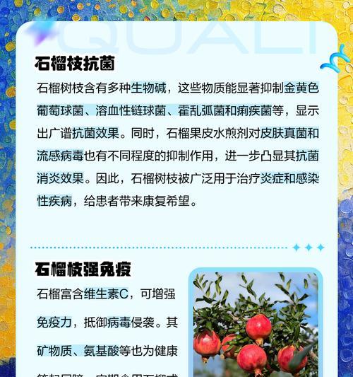 石榴树的病虫害防治（防患于未然，保护石榴果实健康）