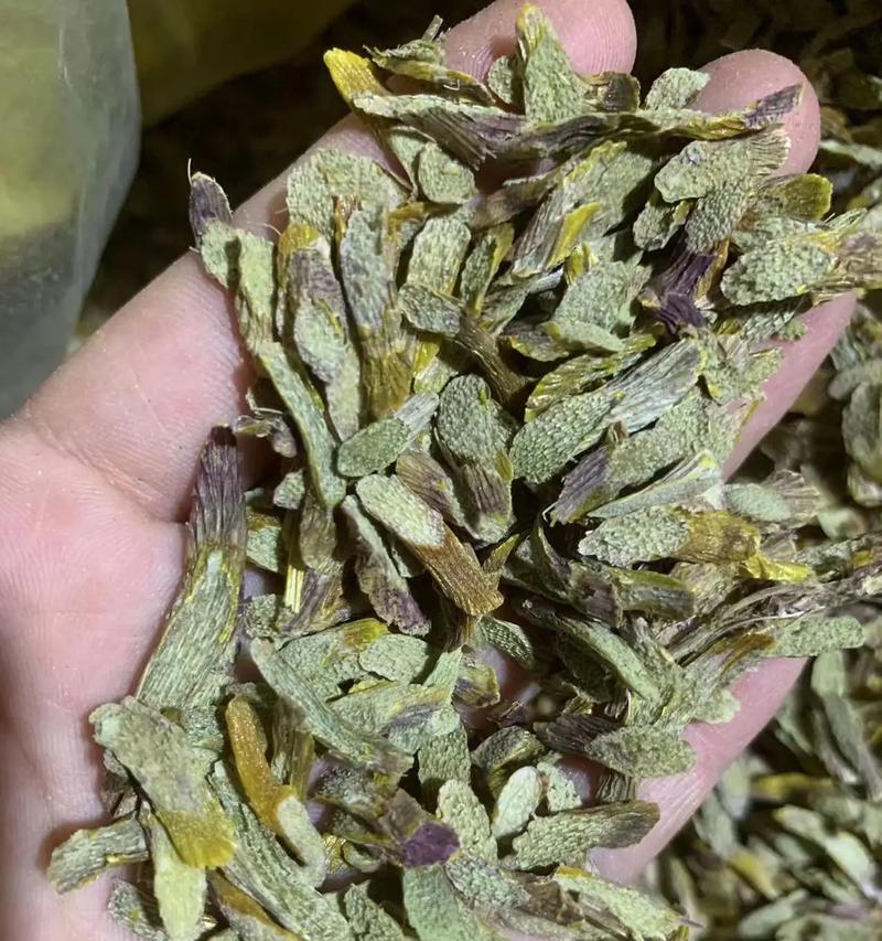 石斛可以用茶水浇吗？（了解石斛的生长习性与茶水浇灌的效果）