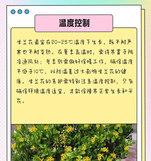 米兰扦插时间和方法详解（如何科学地进行米兰扦插？时间和方法全掌握！）