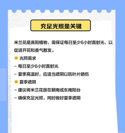 米兰扦插时间和方法详解（如何科学地进行米兰扦插？时间和方法全掌握！）
