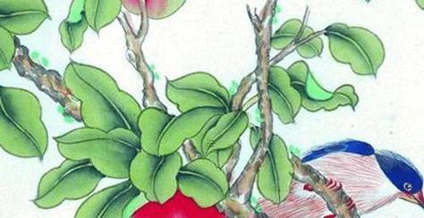 属龙的人养什么花好（打造完美居家环境，做自己的养花达人）