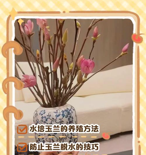 海棠花水培全攻略（如何用水培方法轻松养殖海棠花）