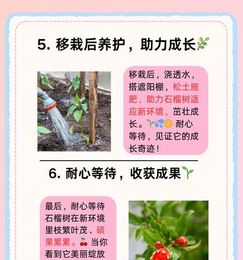 石榴病虫害防治技术与方法措施（提高石榴产量，科学防治病虫害）