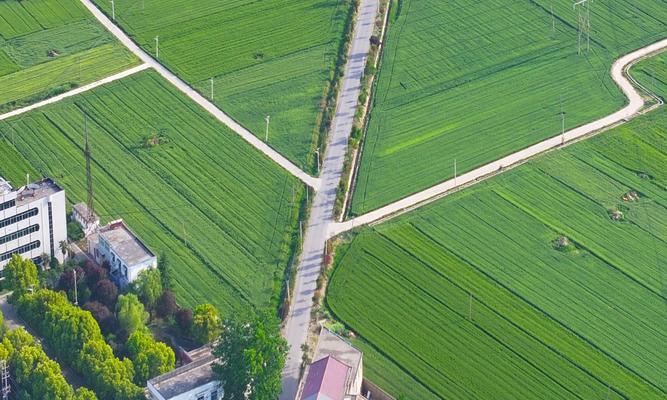 五月适合种植的农作物（五月适合种植的农作物有哪些？如何选择适合的农作物？）