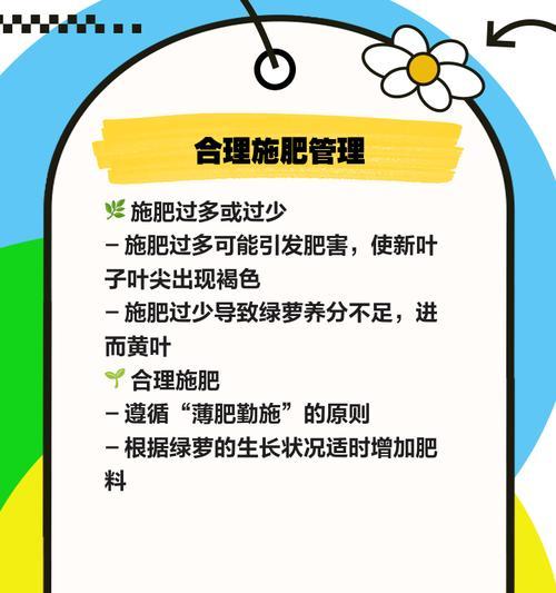 绿萝黄叶的原因与解决方法（保持绿萝健康的技巧）