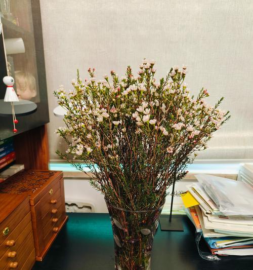 水养花期长的花卉推荐（让你的花卉“活”得更长久）