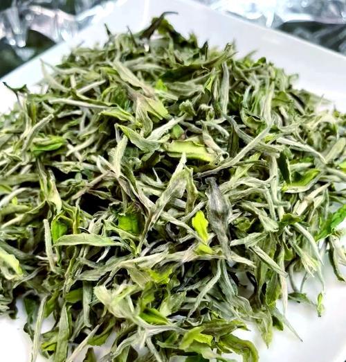 如何在家里种白牡丹（从准备土壤到养护技巧，一步步教你种出美丽的白牡丹）