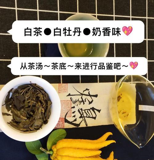如何在家里种白牡丹（从准备土壤到养护技巧，一步步教你种出美丽的白牡丹）