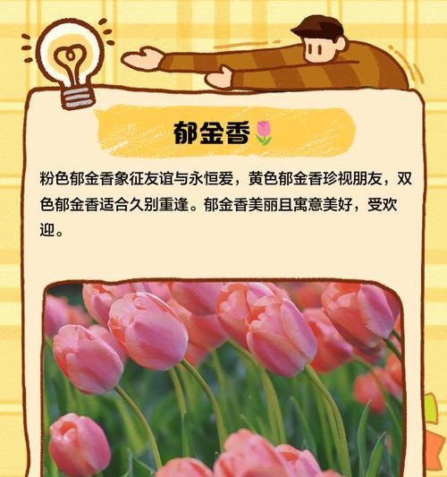 寻找真正的友谊之花，了解花语传达的深意（寻找真正的友谊之花，了解花语传达的深意）