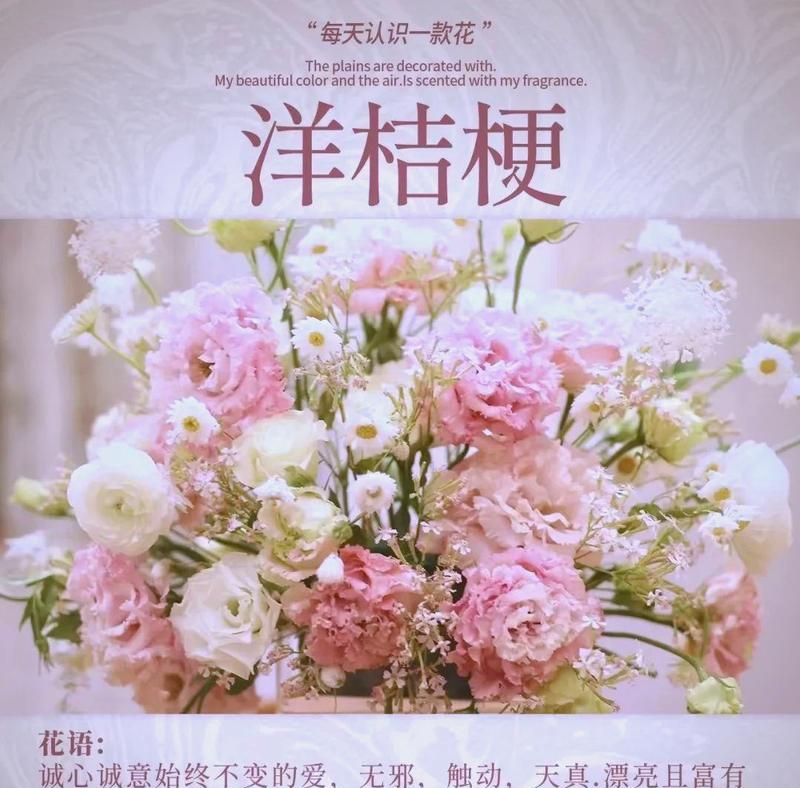 怎样合理养护洋桔梗（洋桔梗的种植、浇水、修剪等注意事项）