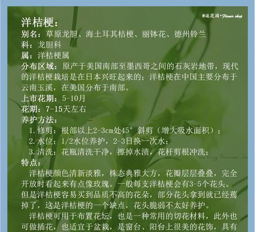 怎样合理养护洋桔梗（洋桔梗的种植、浇水、修剪等注意事项）