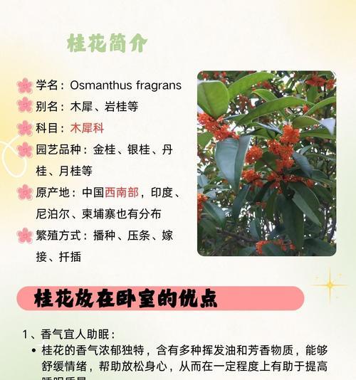 揭秘！原来这些人不能多吃桂花！（探究桂花的营养成分与危害，了解有关人群应该慎食的知识。）