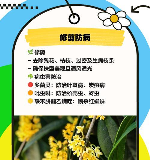 揭秘！原来这些人不能多吃桂花！（探究桂花的营养成分与危害，了解有关人群应该慎食的知识。）