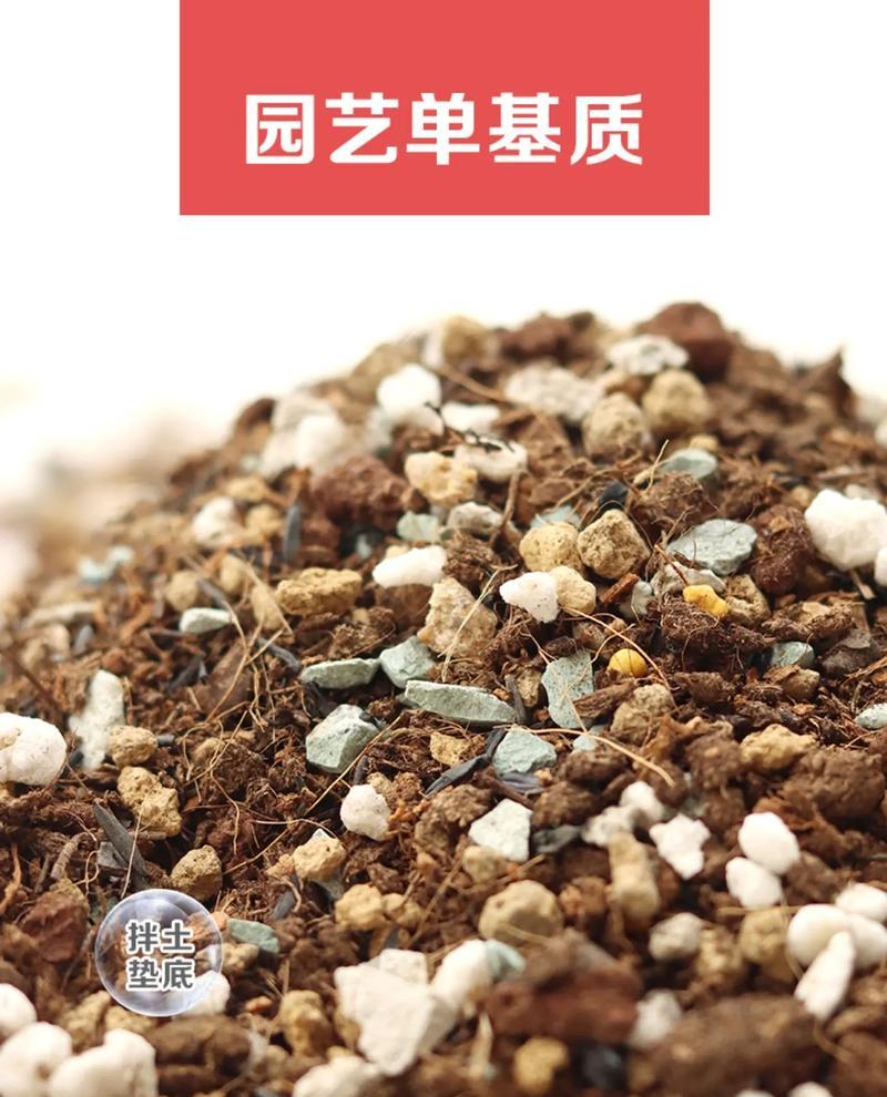 如何配制瓶子草的种植土？（掌握配土方法，让瓶子草生长更健康）