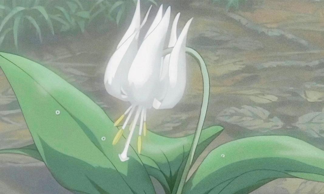 救赎之花（探索不同文化中代表救赎的花卉，揭示花卉背后的深刻寓意）