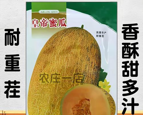 如何判断哈密瓜是否熟透？（通过外观、气味和质地来判断）