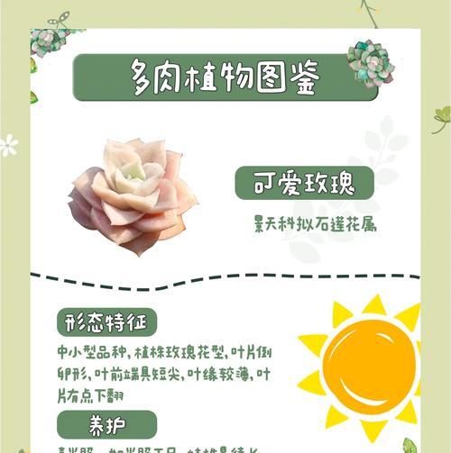 玫瑰花的生长环境条件及特点详解（一窥玫瑰花所需的土壤条件）