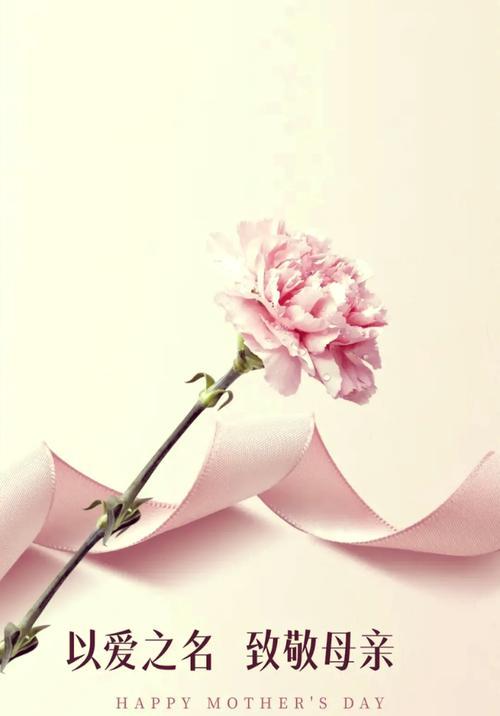 爱的花语（探寻母爱之花的深刻含义）