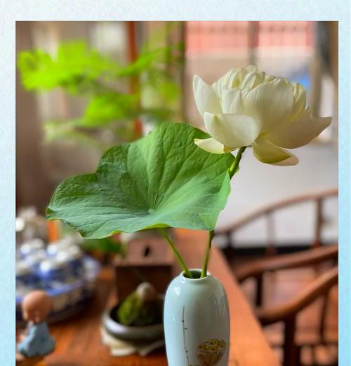 碗莲叶子卷边的原因与解决方法（探寻碗莲叶子卷边的根源，提供有效的解决方案）