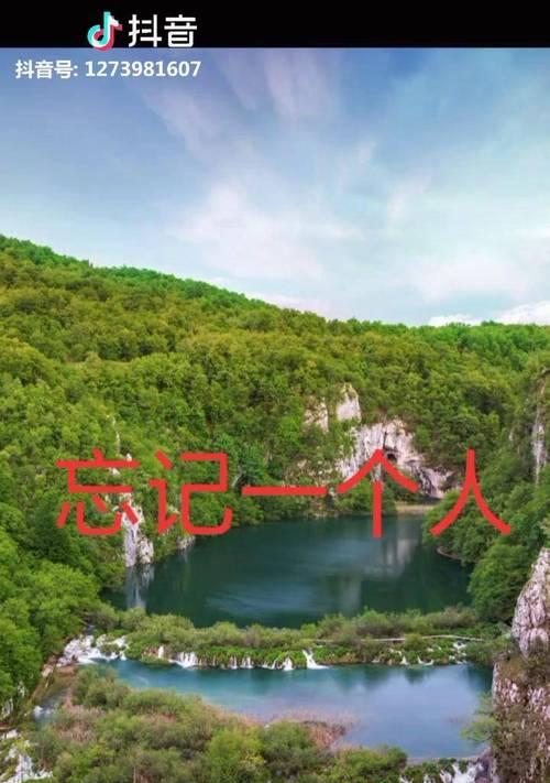 忘记一个人，这些花能帮你（探秘忘情之花，纷纷展现花语）