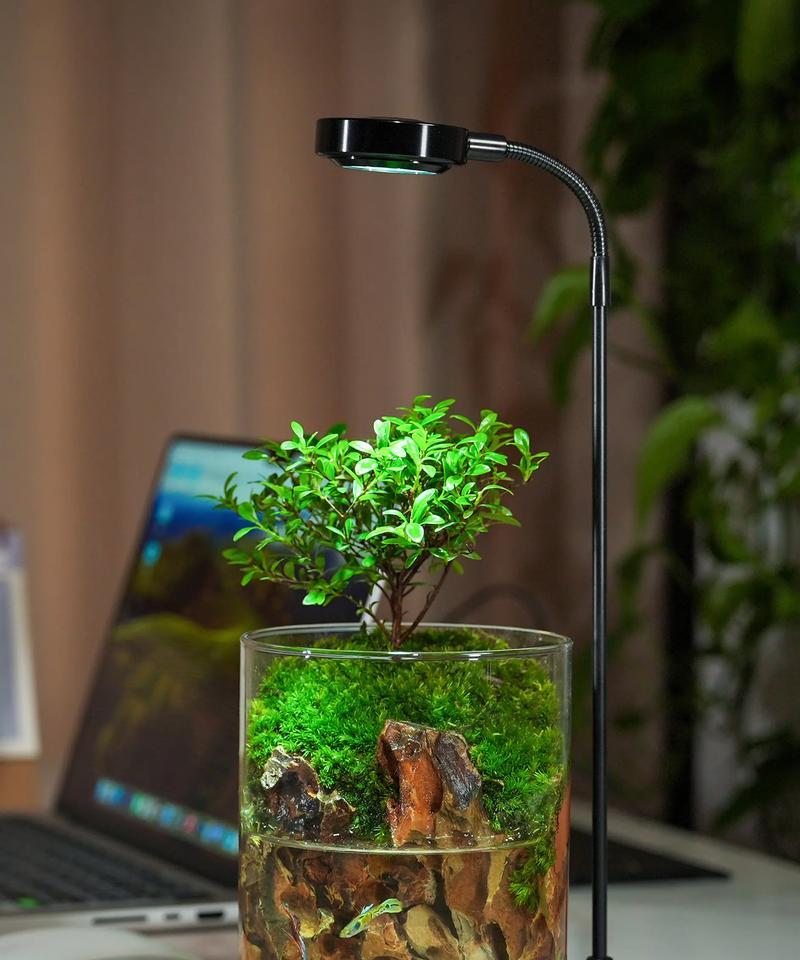 洗米水可以浇植物吗？——解析洗米水的营养价值和使用方法（掌握正确方法，把洗米水变成植物的“美食佳肴”）