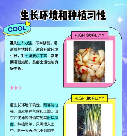 小葱的生长习性特点和生长环境条件（揭秘小葱的生长之道，助你成功种植）