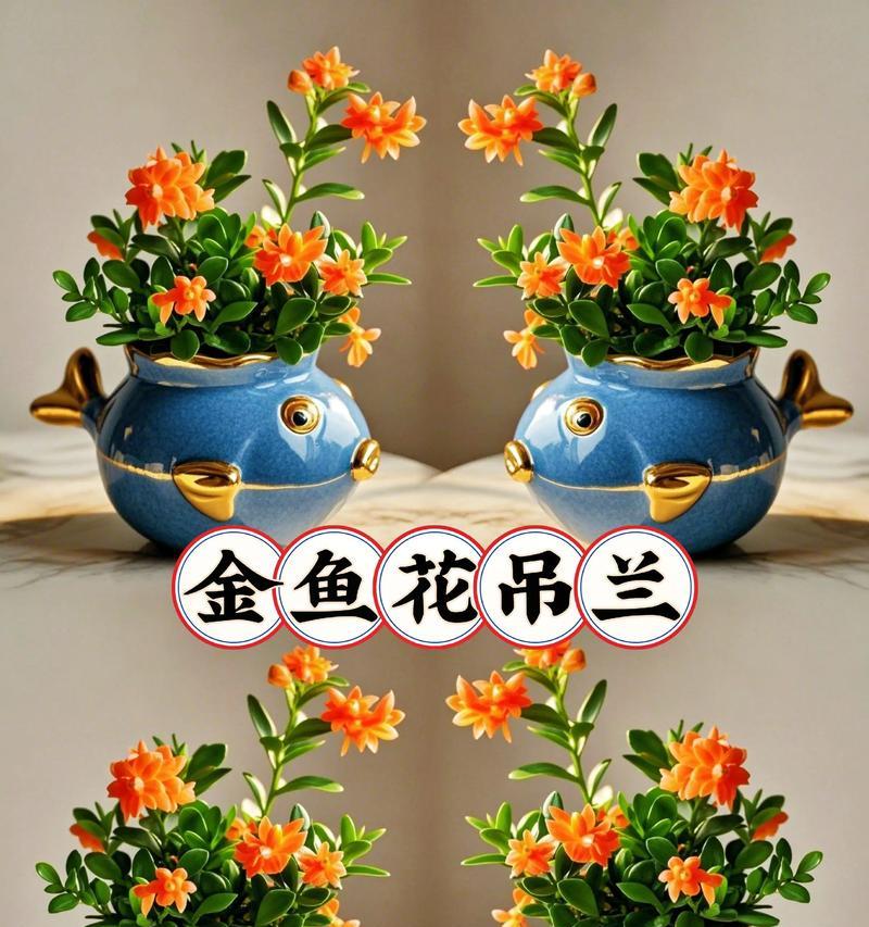 佛珠吊兰的毒性及室内养护（了解毒性，放心养护）