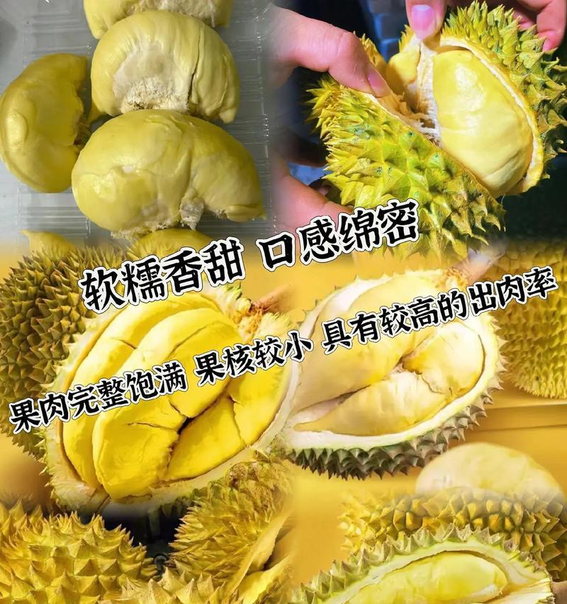 榴莲的成熟时间及判断方法（如何判断榴莲是否成熟？—榴莲爱好者必看）