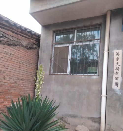 庭院种铁树的优势与注意事项（打造宜人庭院，铁树是不错的选择）