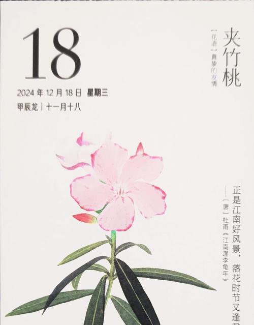 夹竹桃的花语和传说（揭开夹竹桃花背后的花语之谜）