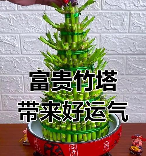 富贵竹塔的层层寓意（追求繁荣与福运，赏识富贵竹塔的深意）