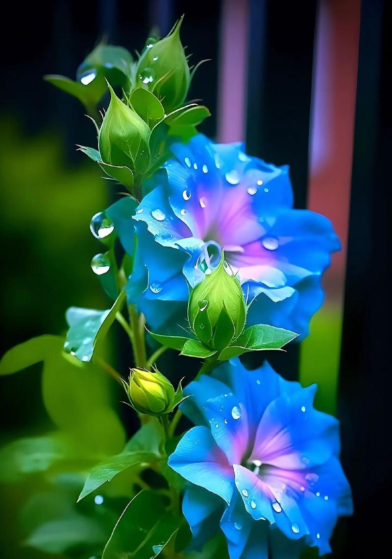 绿色洋桔梗花语之寓意与象征（探索洋桔梗的花语，品味自然之美）