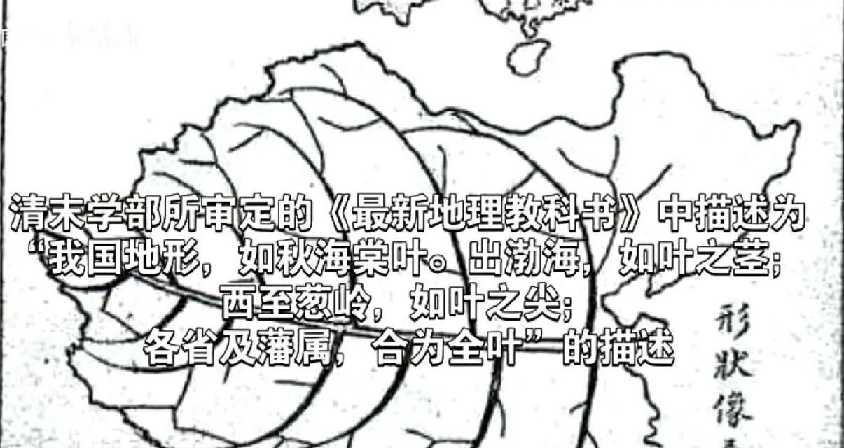 秋海棠叶的寓意与象征（秋海棠叶的美丽与深意）