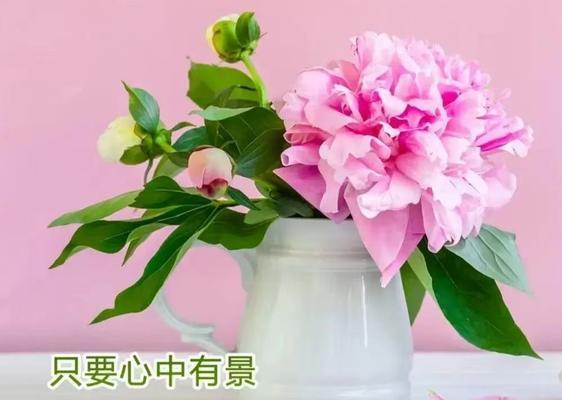以蓮花花语为主题的文章（在蓮花的花语中寻找自我的力量）