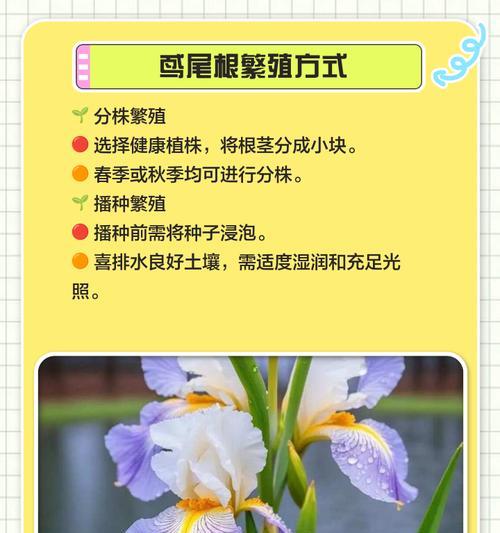 嚏根草的花语与传说（呼唤幸福的神秘嚏根草）