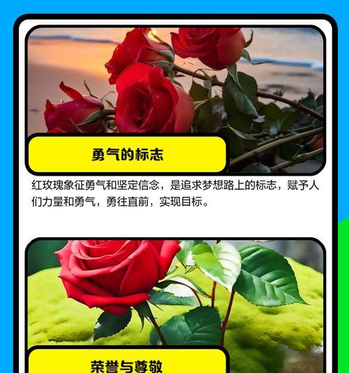 玫瑰的象征意义——魅力与爱的化身（探寻玫瑰背后的象征意义）