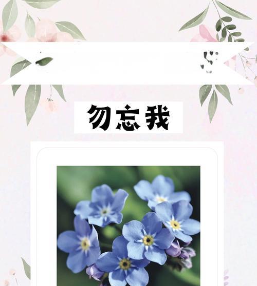 水晶草花语之美——传递祝福与希望的绿色使者（探索水晶草花语的深层含义，揭示其隐藏在娇小花朵中的正能量）