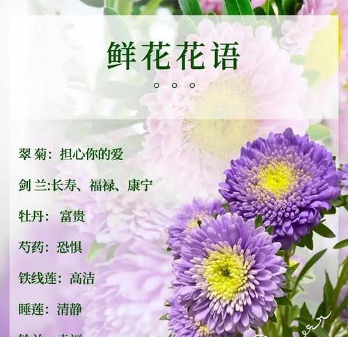 水晶草花语之美——传递祝福与希望的绿色使者（探索水晶草花语的深层含义，揭示其隐藏在娇小花朵中的正能量）