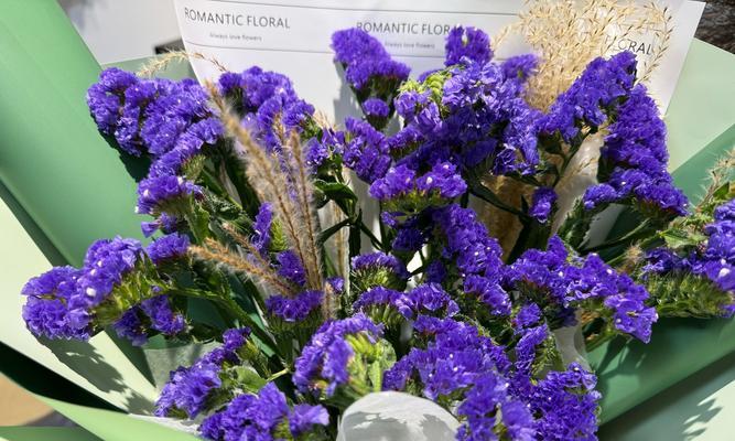 水晶草花语之美——传递祝福与希望的绿色使者（探索水晶草花语的深层含义，揭示其隐藏在娇小花朵中的正能量）