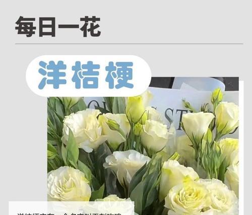 洋桔梗花（花语和寓意揭示的深层意义）